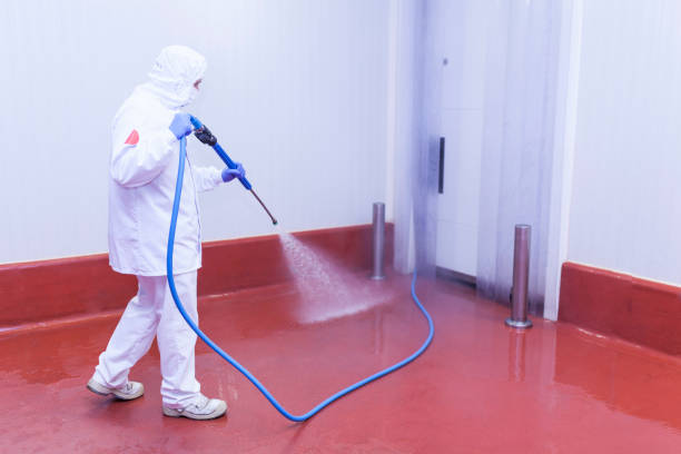 Best Sidewalk and Walkway Cleaning  in Highlands, TX