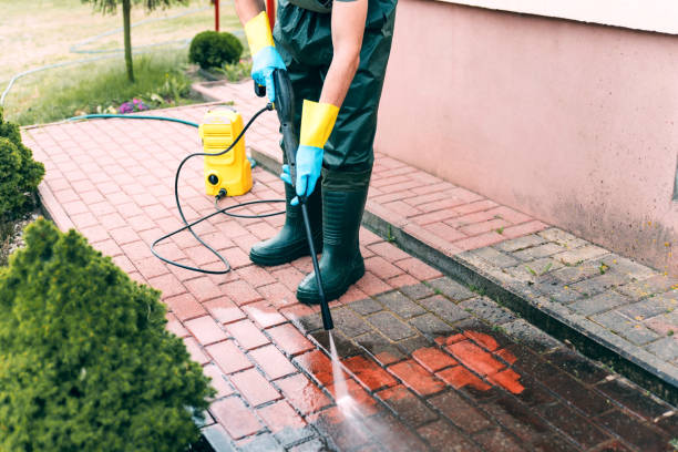 Best Gutter Cleaning  in Highlands, TX